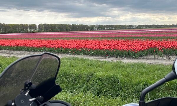 Verhogen van je frequentie én je gezondheid én je energie.